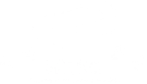 Aderflex