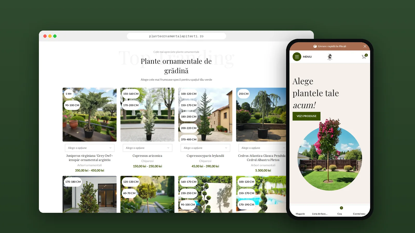 Magazinul online Plante Ornamentale Pitești pe desktop și pe telefon