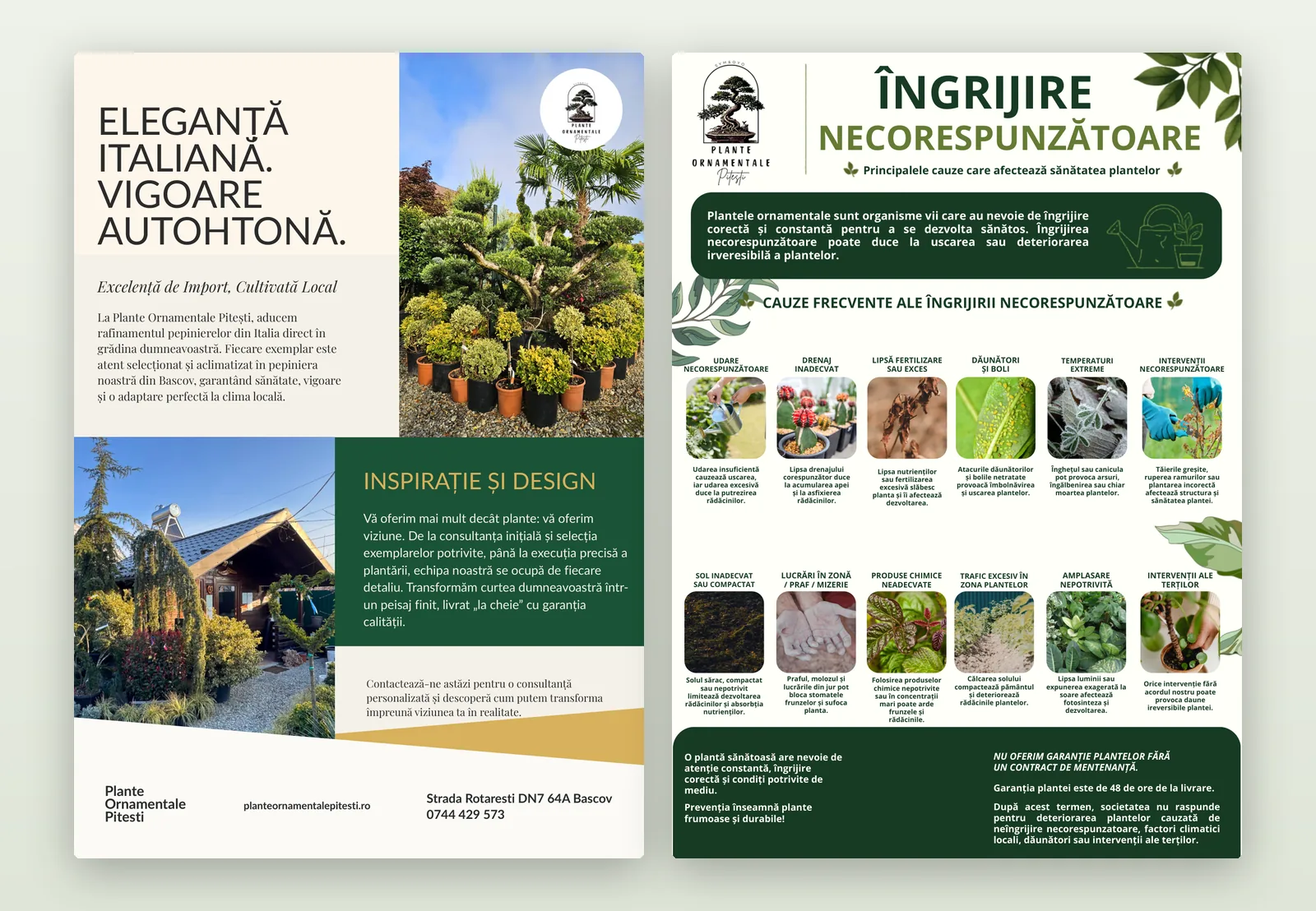 Flyerul pepinierei și posterul despre îngrijirea plantelor