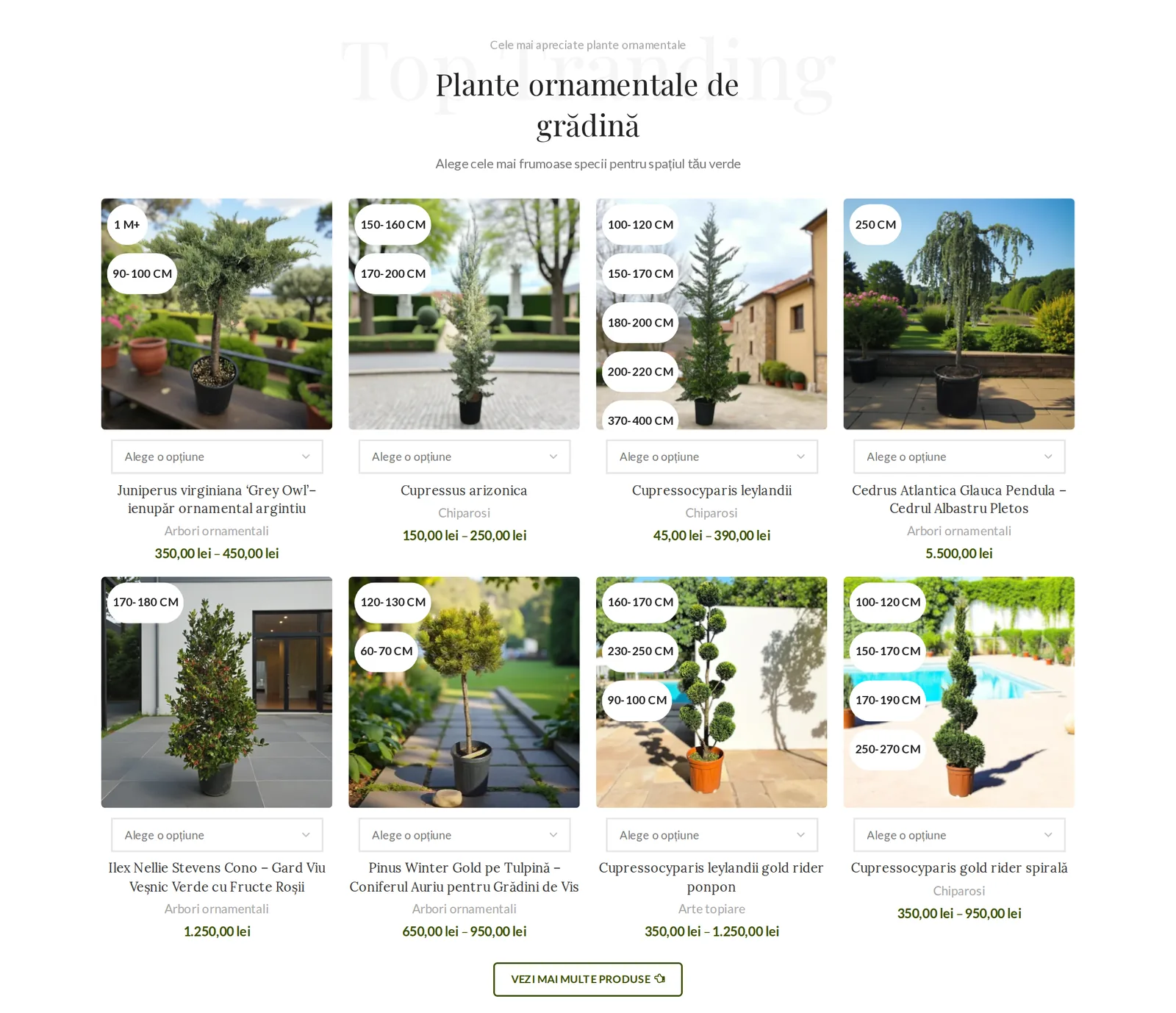 Catalogul de plante din magazinul online