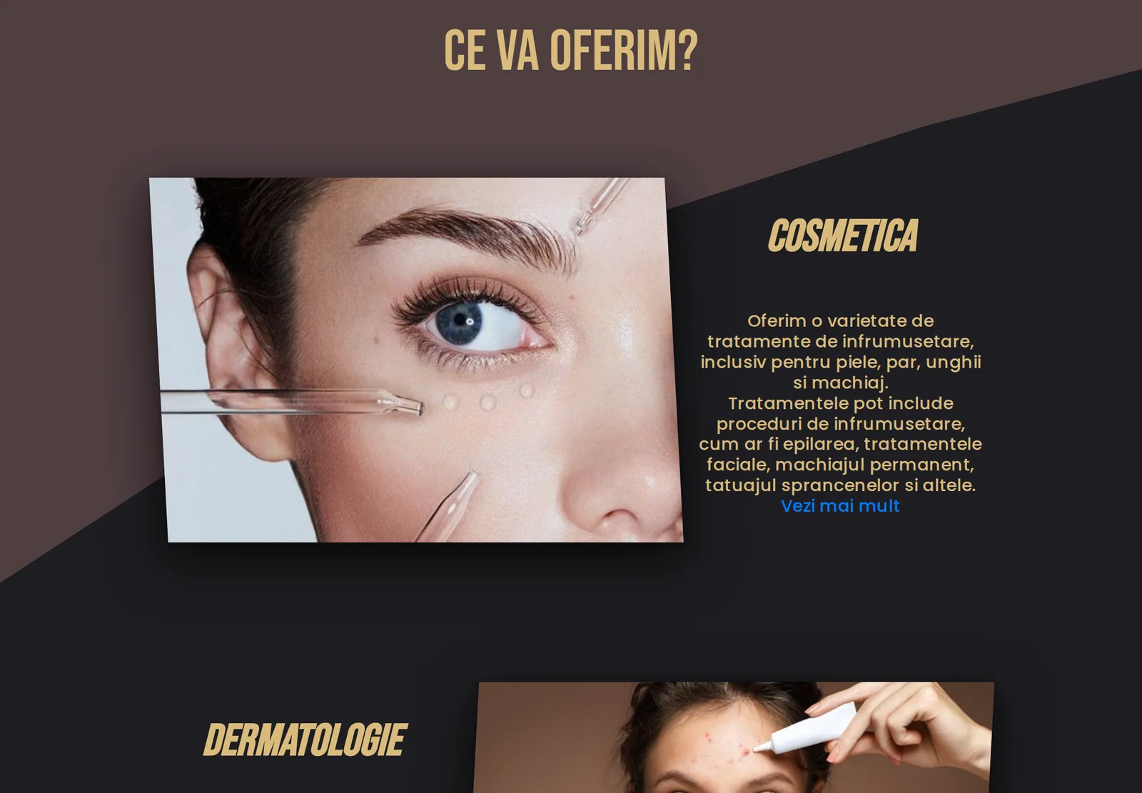 Secțiunea „Ce vă oferim”, cu cosmetica pe primul loc